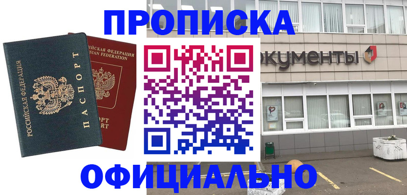 прописка поиск в Нововоронеже